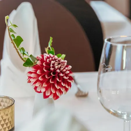 Engel & Kreuz Inn Gaggenau